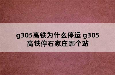 g305高铁为什么停运 g305高铁停石家庄哪个站